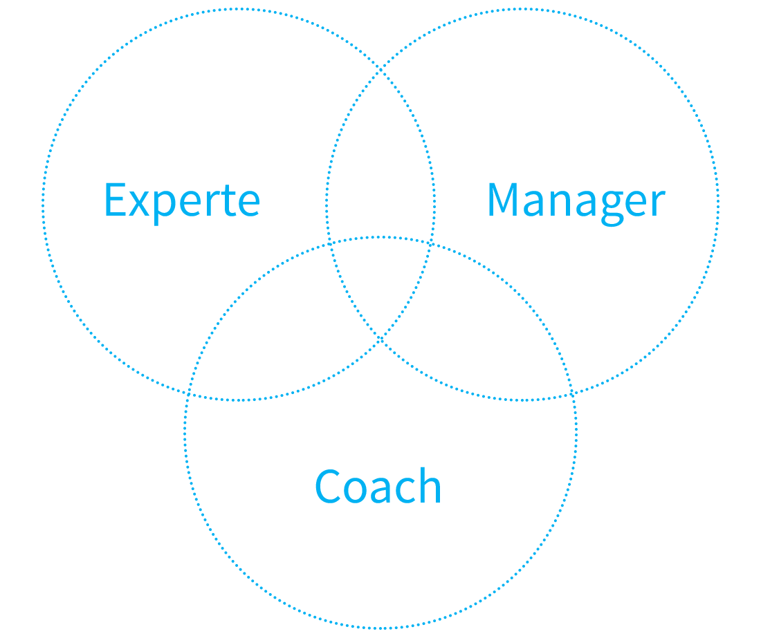 avecus Rollenverstädnis – Experte, Manager, Coach